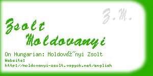 zsolt moldovanyi business card